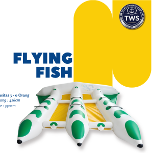 Wahana flying fish